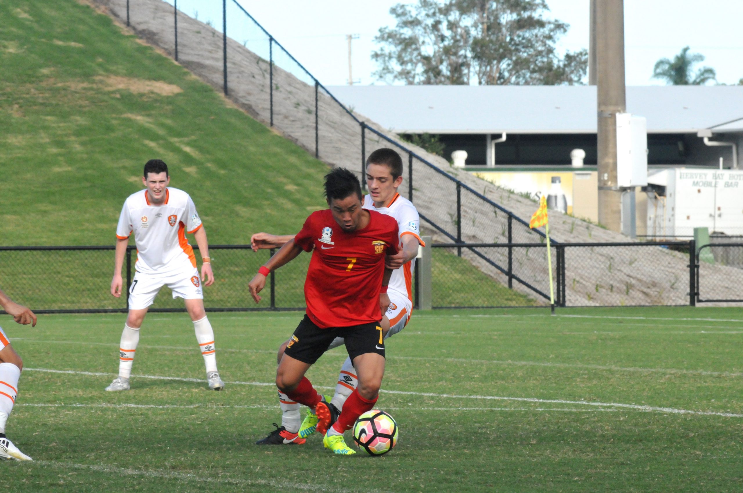 PS4 NPL QLD Round 18 – Young Roar Relentless At Home