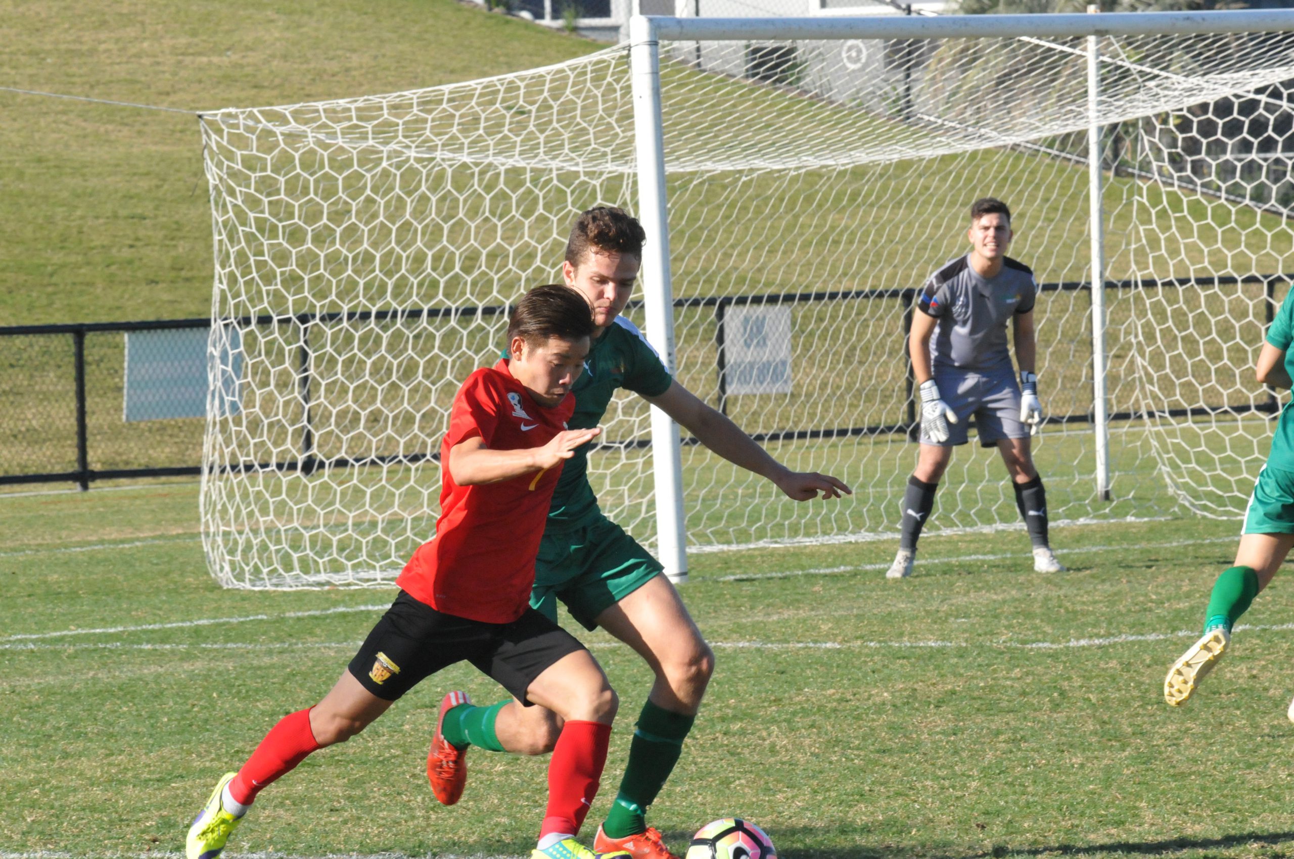 PS4 NPL QLD Round 21 – Heat return home with three points